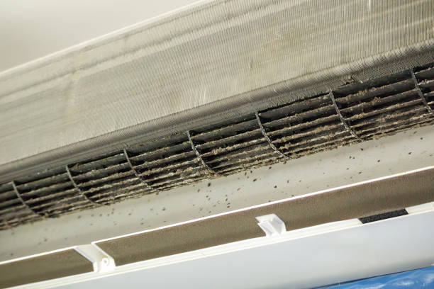Best Duct Cleaning for Homes  in Westfield, MA