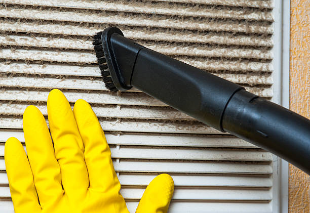 Best Professional Duct Cleaning Services  in Westfield, MA